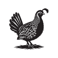 Quail Bird Vector Silhouette on Clean White Background.