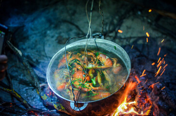 Delicious Boiled Crayfish Cooking in a Pot Outdoors at Night. Picnic concept