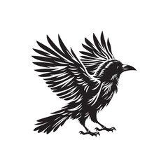 Crow Bird Silhouette Vector on Clean White Background.
