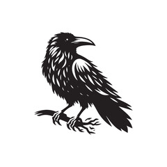 Obraz premium Bird Silhouette of Crow or Raven - Vector Illustration.