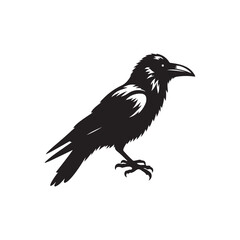 Fototapeta premium Black Crow Raven Silhouette Vector on White Background.