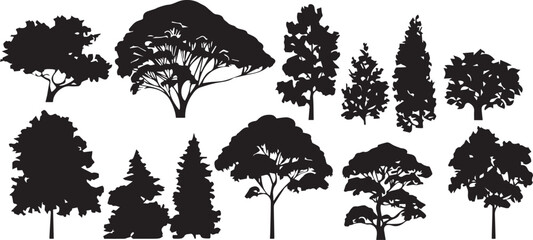Set Trees. Hand drawn vector illustration	