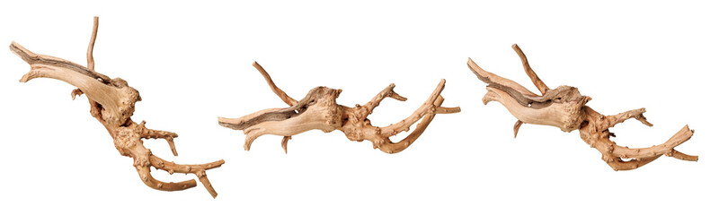 Fototapeta premium set old dry driftwood tree branch on an isolated white background close-up