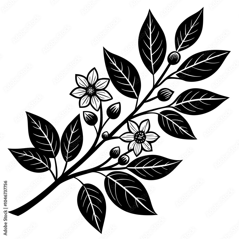 Canvas Prints small leaves of tree branches with flower silhouette vector illustration