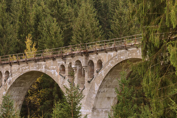 Fototapeta premium Historisches Finsterer Grund Viadukt, beeindruckende gemauerte Eisenbahnbrücke im herbstlichen Nadelwald bei Neuhaus am Rennweg, Landkreis Sonneberg, Thüringer Wald, Thüringen, Deutschland