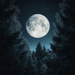 Fototapeta premium Beneath the trees, the moonlight filters through, casting a serene glow on the forest. A magical night in nature's embrace.