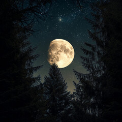 Fototapeta premium Beneath the trees, the moonlight filters through, casting a serene glow on the forest. A magical night in nature's embrace.