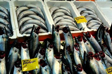 General view from a fisherman's stall. Horse mackerel, bonito, salmon, garfish and shrimp are available for sale in bulk. Fishing. Fish season. Hunting ban. Istanbul - Turkey.