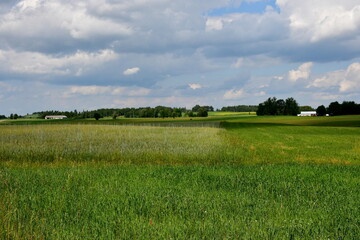 A close up on a lush field, meadow or pastureland located next to some forest or moor and with huts visible in the distance being arable land used for farming, animal husbandry and eco tourism