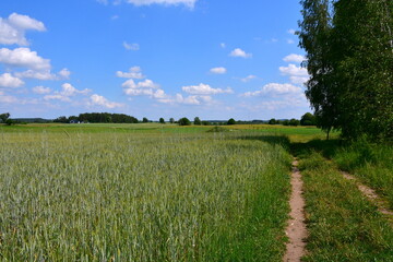 A close up on a lush field, meadow or pastureland located next to some forest or moor and with huts visible in the distance being arable land used for farming, animal husbandry and eco tourism