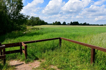 A close up on a wooden fence made out of timber, logs, and planks located next to a vast pastureland, meadow, or field situated in the middle of nowhere seen on a Polish countryside in summer