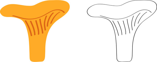 Chanterelles are edible orange mushrooms. Sketch flat cartoon drawing with black outline for children's coloring.