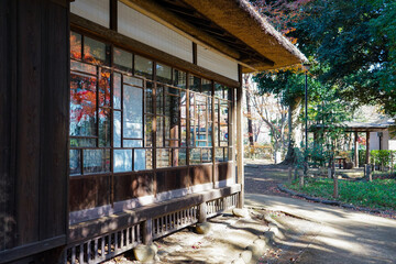 徳冨蘆花旧宅の窓に映る紅葉（東京都世田谷区）