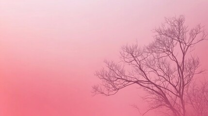 Obraz premium Photo of, Pink background with subtle gradients and minimalist abstract ovals for design, banner template