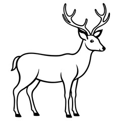 Obraz premium silhouette of a deer