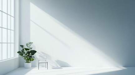 Pièce d'habitation vide minimaliste avec mur blanc une chaise, une plante verte et lumière du soleil traversant la fenêtre.