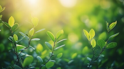 Sunlit Fresh Green Leaves and Branches in a Vibrant Natural Scene