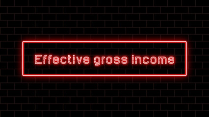 Effective gross income のネオン文字