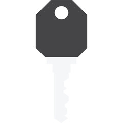 Key Flat Icon