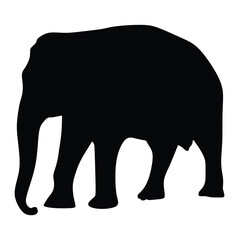 Silhouette of an elephant on a white background