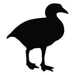 Silhouette of a duck on a white background