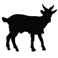 Silhouette of a goat with horns on a white background