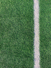 soccer field background © Асия Жолтаева