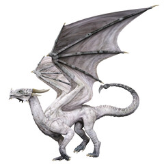 Fototapeta premium 3D rendered white dragon isolated on transparent background