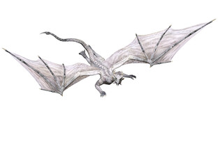 3D rendered white dragon isolated on transparent background