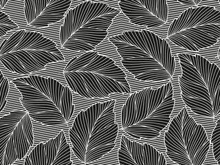 Fototapeta premium Seamless floral abstract background with leaves drawn by thin lines. White background with black leaves, monochrome.Vector floral pattern