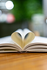 Heart-Shaped Pages Create a Romantic Atmosphere in a Book