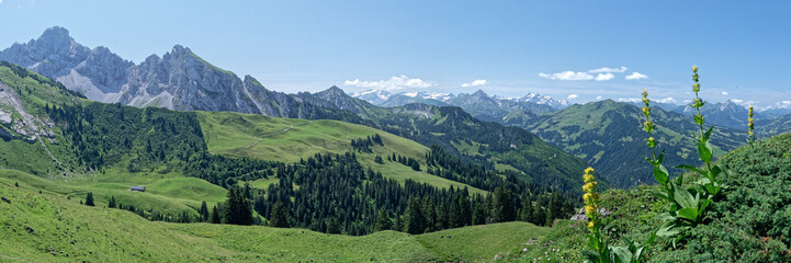 Magnifique vue panoramique des montagnes avoisinantes à Seebergsee en Suisse