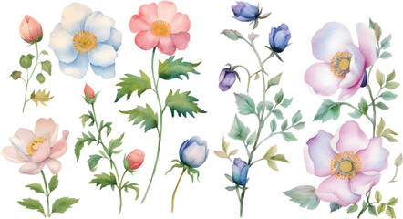 spring flowers border
