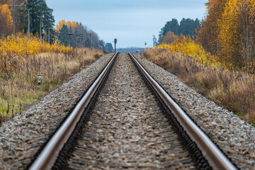 Fototapeta premium Symmetry railway in autumn countryside.