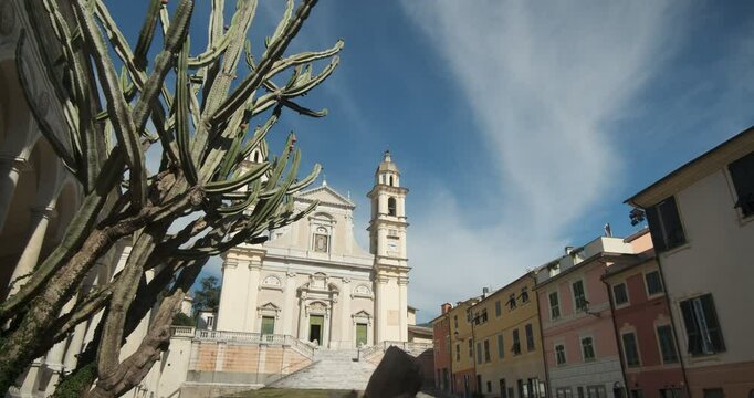 Cactus plant. Basilica of Santo Stefano.The historic center of the town of Lavagna in Liguria with the Brignardello portico, Piazza Marconi. Lavagna, Liguria, Italy