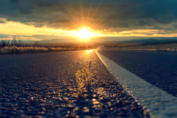 growth symbols showcasing the natural beauty and metaphorical representation of progress, including images of plants sprouting from the soil