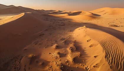The Scenic Beauty of the Empty Quarter