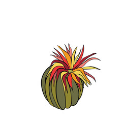 Vector cactus isolated on white background. Hand drawn icon of blooming cacti. Illustration element of nature