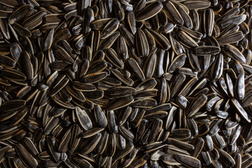 Non Salty Roasted Sunflower Seeds in Shell: A Culinary Canvas of Sunflower Kernels, Creating a Lively and Textured Background for Gourmet Cooking. Scattered Sun Flower Seeds - Top View, Flat Lay
