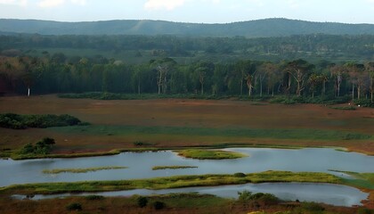 The Serene Beauty of Yala National Park