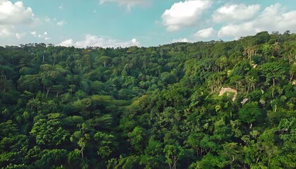 Obraz premium The Lush Landscapes of Bukit Timah Nature Reserve