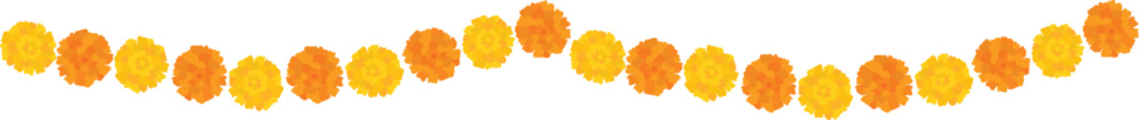 Yellow orange marigold flowers border. Indian traditional floral festive garland toran. Zendu flowers isolated on background Party decor for Halloween, Dia de los Muertos holiday. Vector illustration © tabitazn