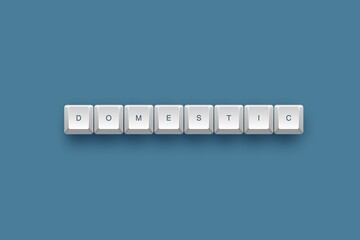 3D illustration of white keyboards with the word "domestic" on a blue background