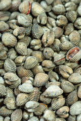 shellfish sold together with sea fish products by fish traders in traditional markets