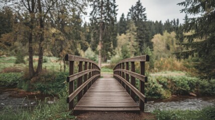 Fototapeta premium Forest with a blurred background. In the foreground, a wooden footbridge crosses a stream, surrounded by greenery. Background features tall trees under an overcast sky