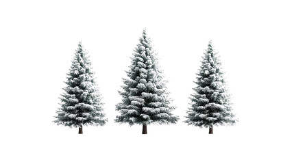 3 christmas trees isolated on a white background