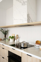 Modern kitchen with stainless steel pot on induction stove