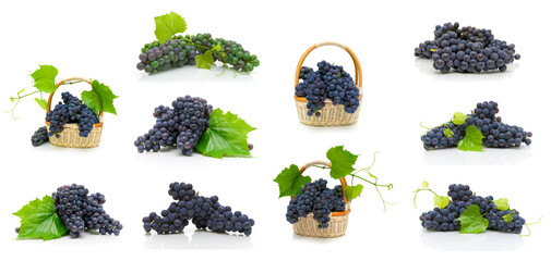 Ripe bunches of dark grapes on a white background