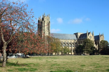 Obraz premium Autumnal view of Beverley Minster from the south.