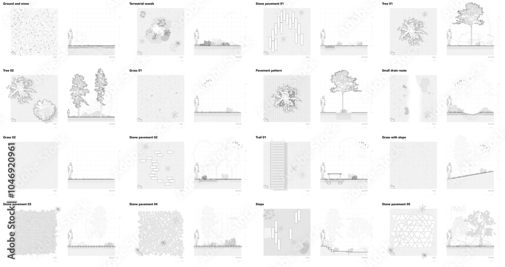 Poster architectural drawings, minimal style cad tree line drawing, side view, plan and section forest outl